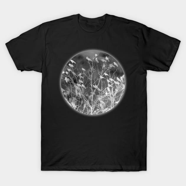 Crows and the moon T-Shirt by pocketdesigns